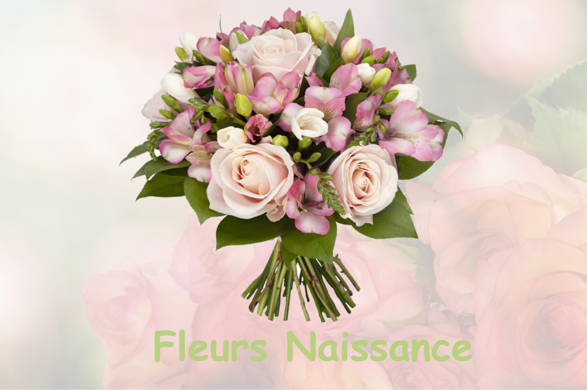 fleurs naissance BRAUVILLIERS