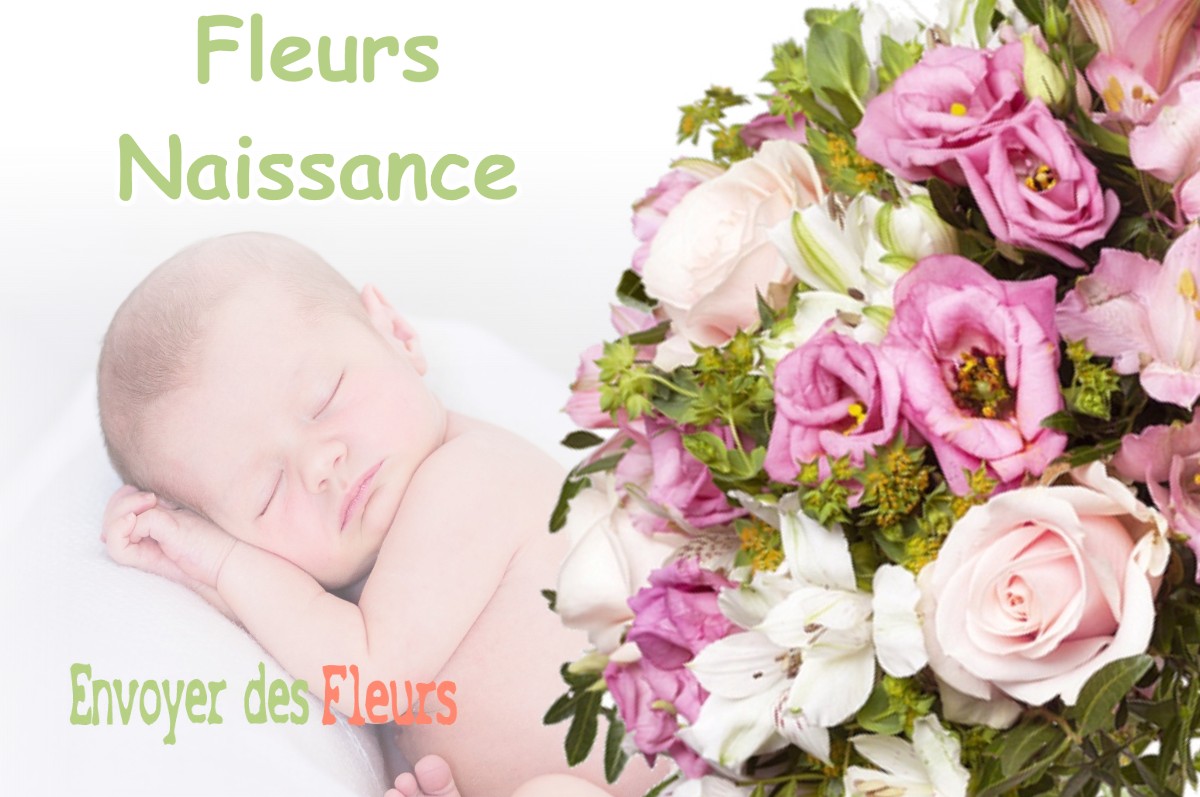 lIVRAISON FLEURS NAISSANCE à BRAUVILLIERS